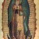 Our Lady of Guadalupe Schedule